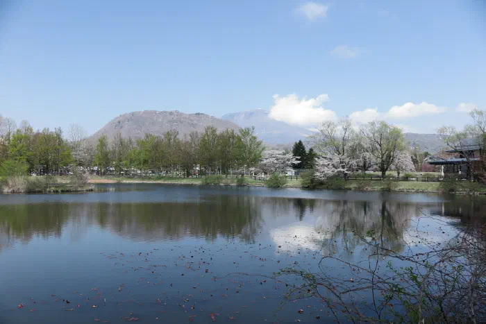 矢ヶ崎公園