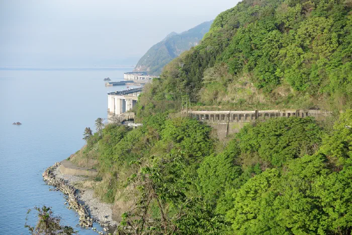 親不知