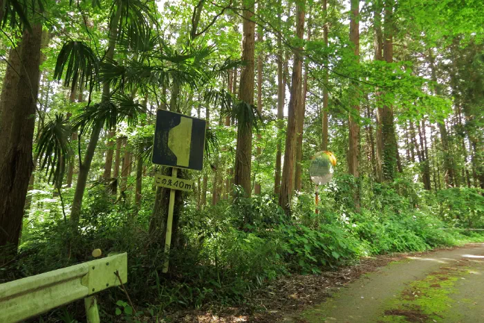 赤馬地区 通行止め点直前