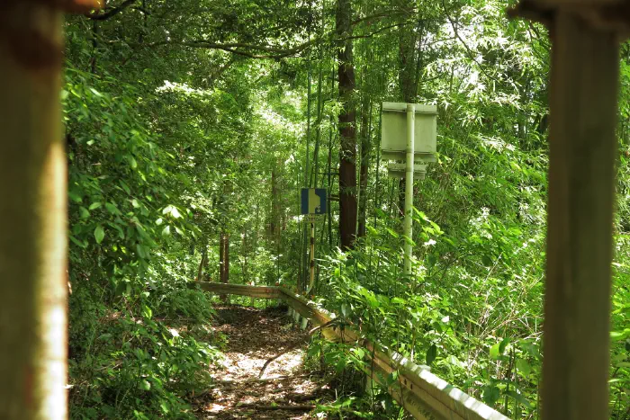 赤馬地区 通行止め点の先