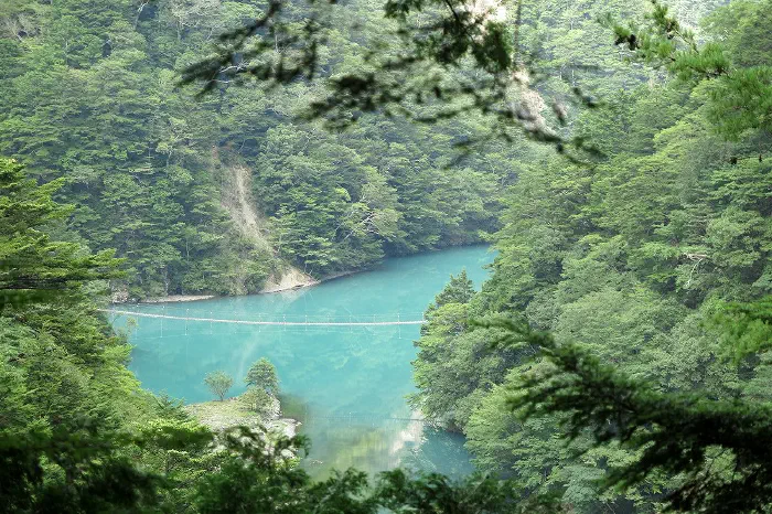 夢のつり橋 全景