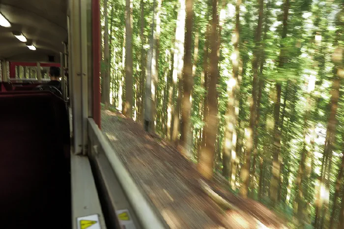 井川線 路線状況