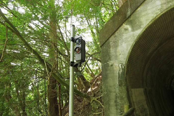 廃線跡 信号機2